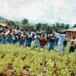 CAMEROON - SCHOOLS ENVIRONMENTAL PROGRAMME1