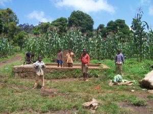 cameroon.shumas.eucalyptus.replacement.project. Water stand pipe