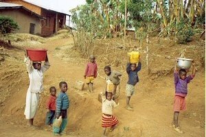 cameroon.shumas.eucalyptus.replacement.project. Children carrying buckets of water