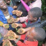 cameroon.camgew. Children collecting seeds