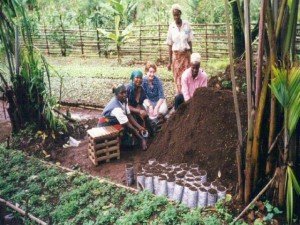 cameroon.shumas.eucalyptus.replacement.project.phase1. Site of pilot project at Kongir, Kumbo. Volunteer Lizzie Jeans 2001