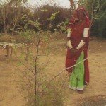 fioh.fund.pakistan.pvdp. Poverty alleviation in the Thar Desert. Beneficiary with bair tree