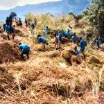 school environmental program clearing of land
