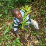 Children involved in tree planting