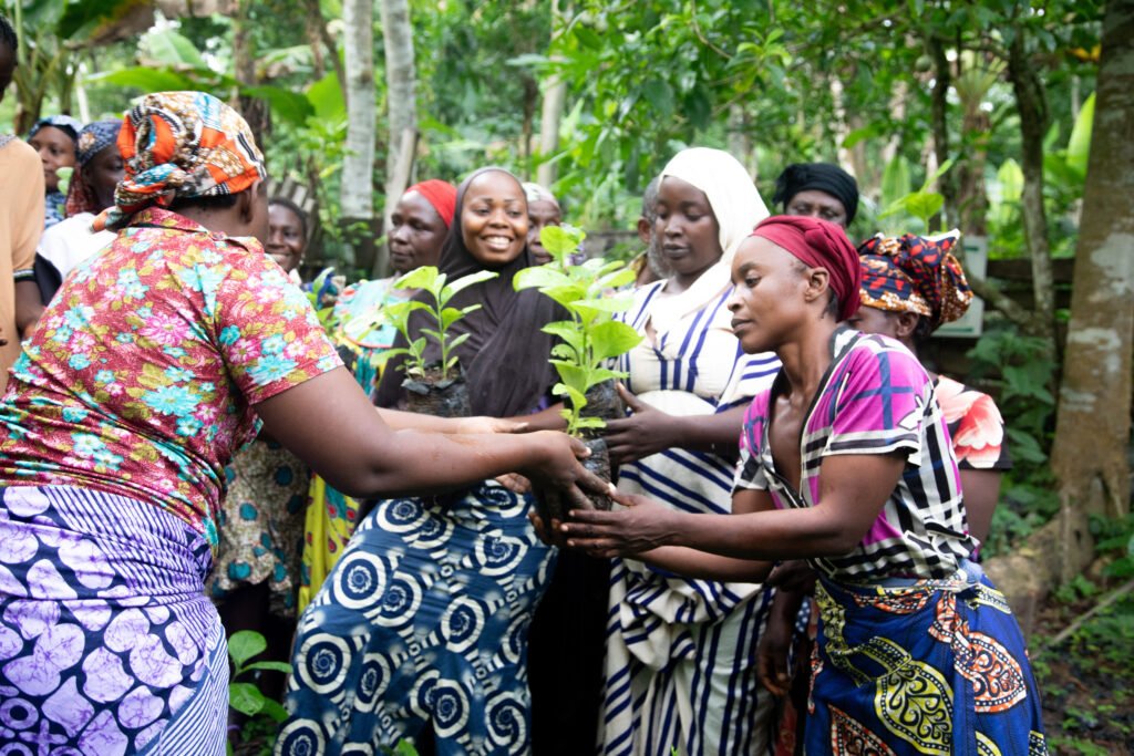 Women and girls at the centre of all we do